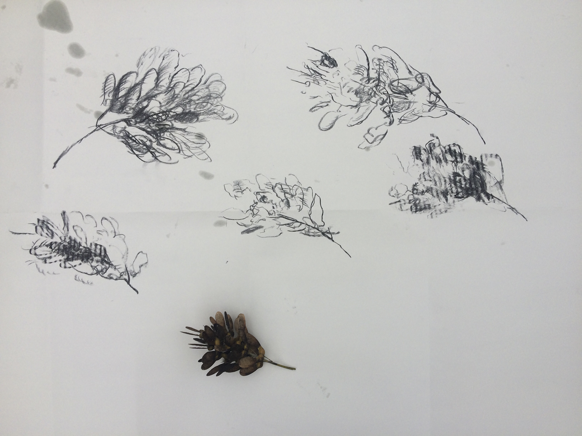 Blind drawing