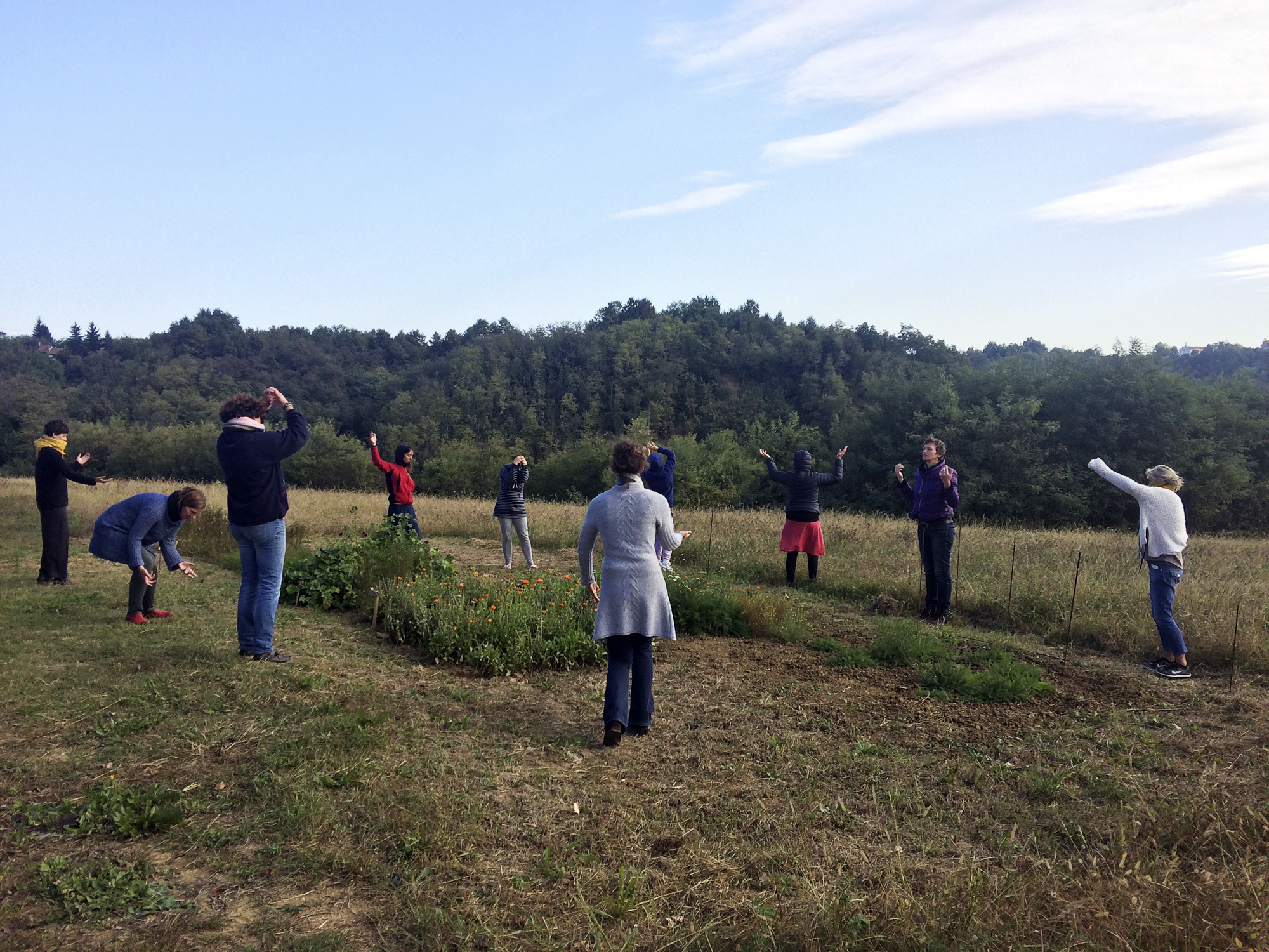 Our morning ritual - an hour of eurhythmics. Here, we had just spent a few minutes looking at some plants, and were then asked to capture their character through body movements. Sometimes you don't ask questions.