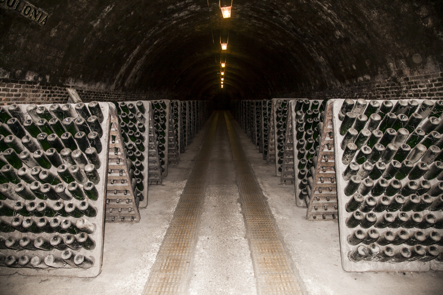codorniu+winery+barcelona+on+thisissheena.com-9.jpg