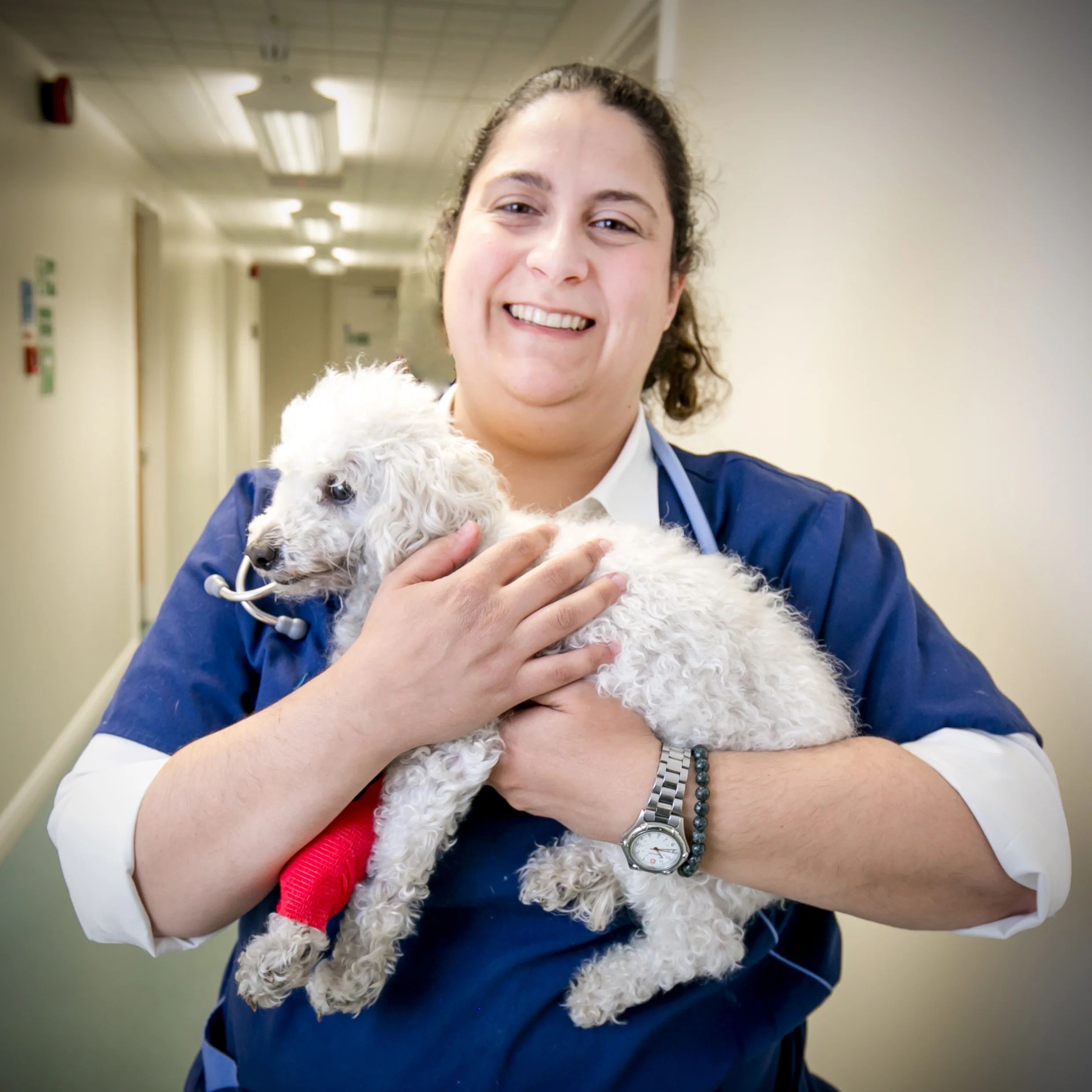 (2015-06-26 14-45-18)Canon Canon EOS 5D Mark III (3960x2640).jpg