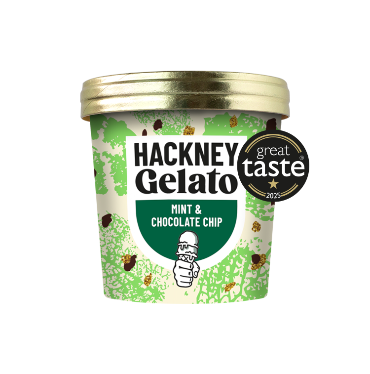 Mint & Chocolate Chip Gelato