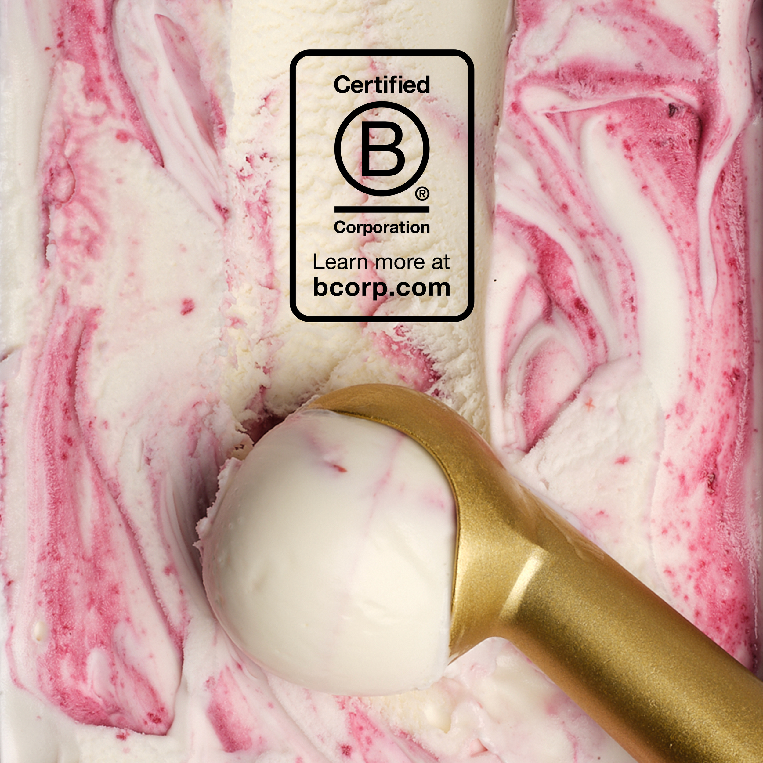B Corp logo against a gelato scoop of Amarena Cherry Cheesecake