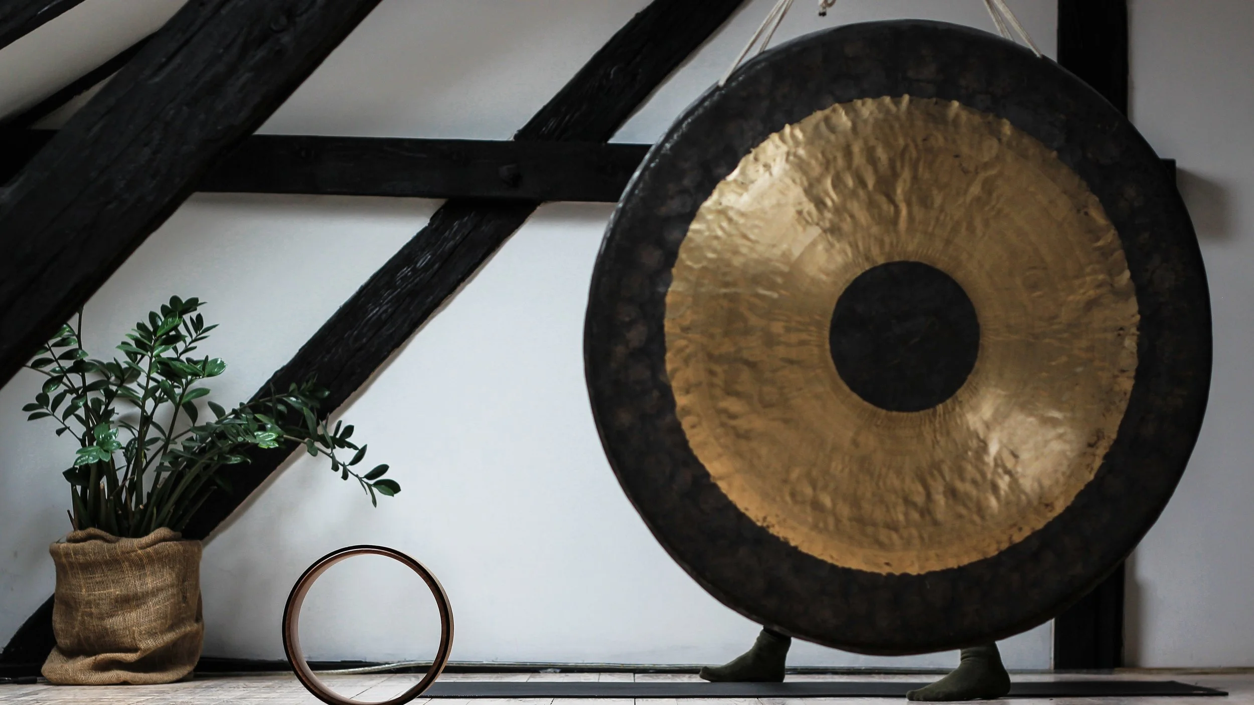 Vibrational Sound Bath by Sherl Salyer and Nancy James
