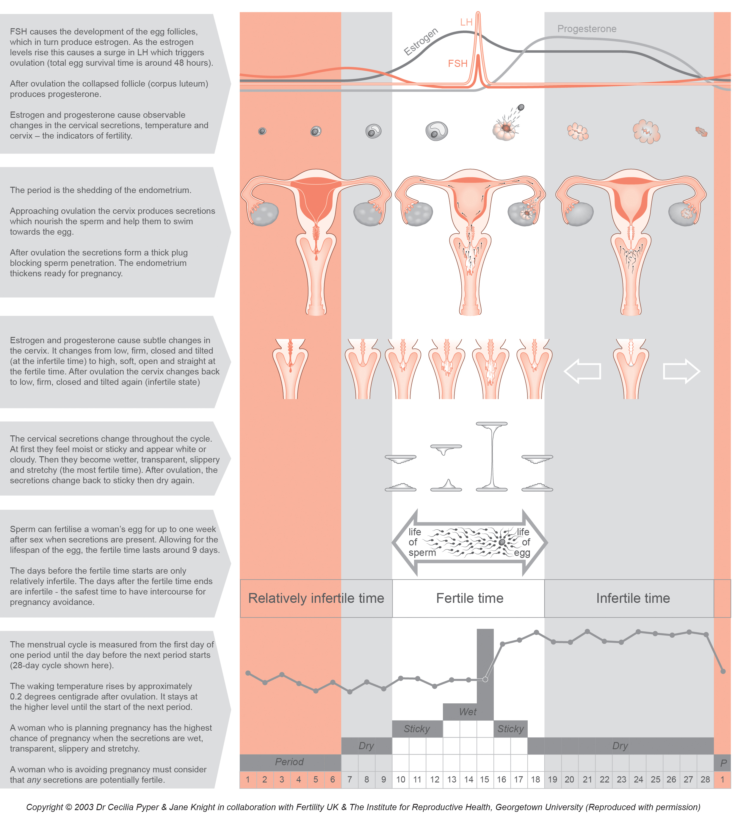 Fertility Awareness — Fertility UK