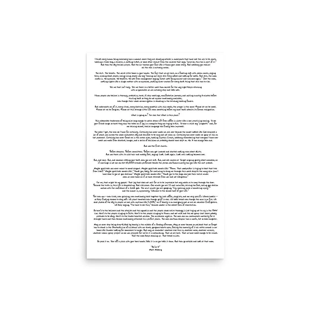 enhanced-matte-paper-poster-(in)-20x30-front-6a1b82438b714.jpg