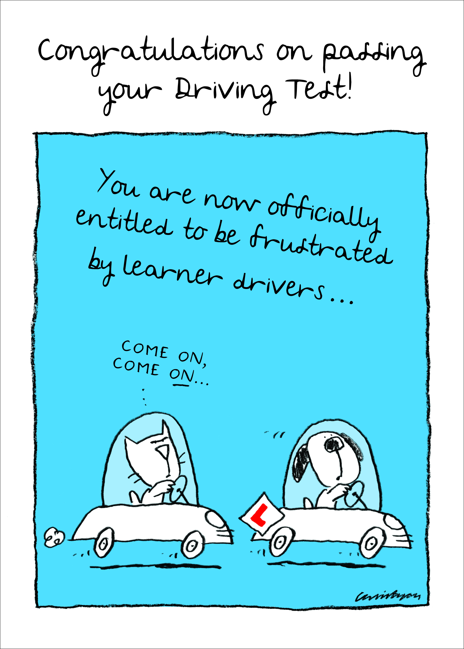 3-Driving Test-frustrated.jpg