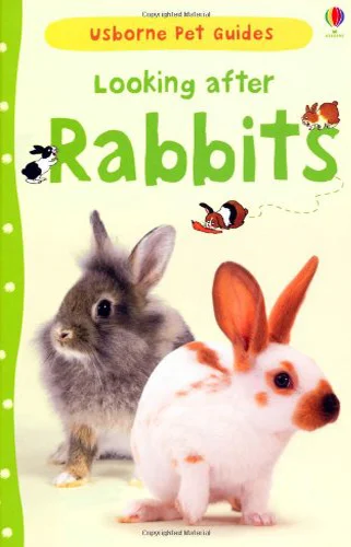 2005-2013 Usborne