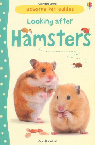2005-2013 Usborne