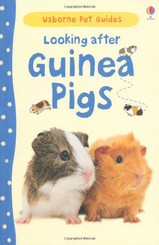 2005-2013 Usborne
