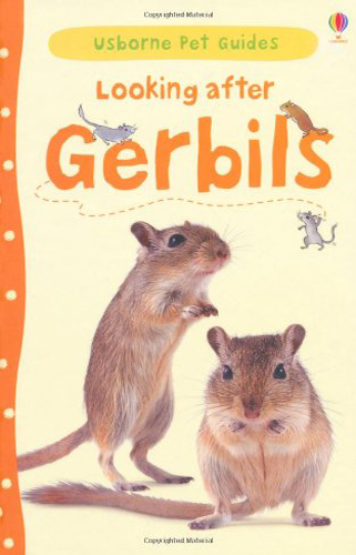 2005-2013 Usborne
