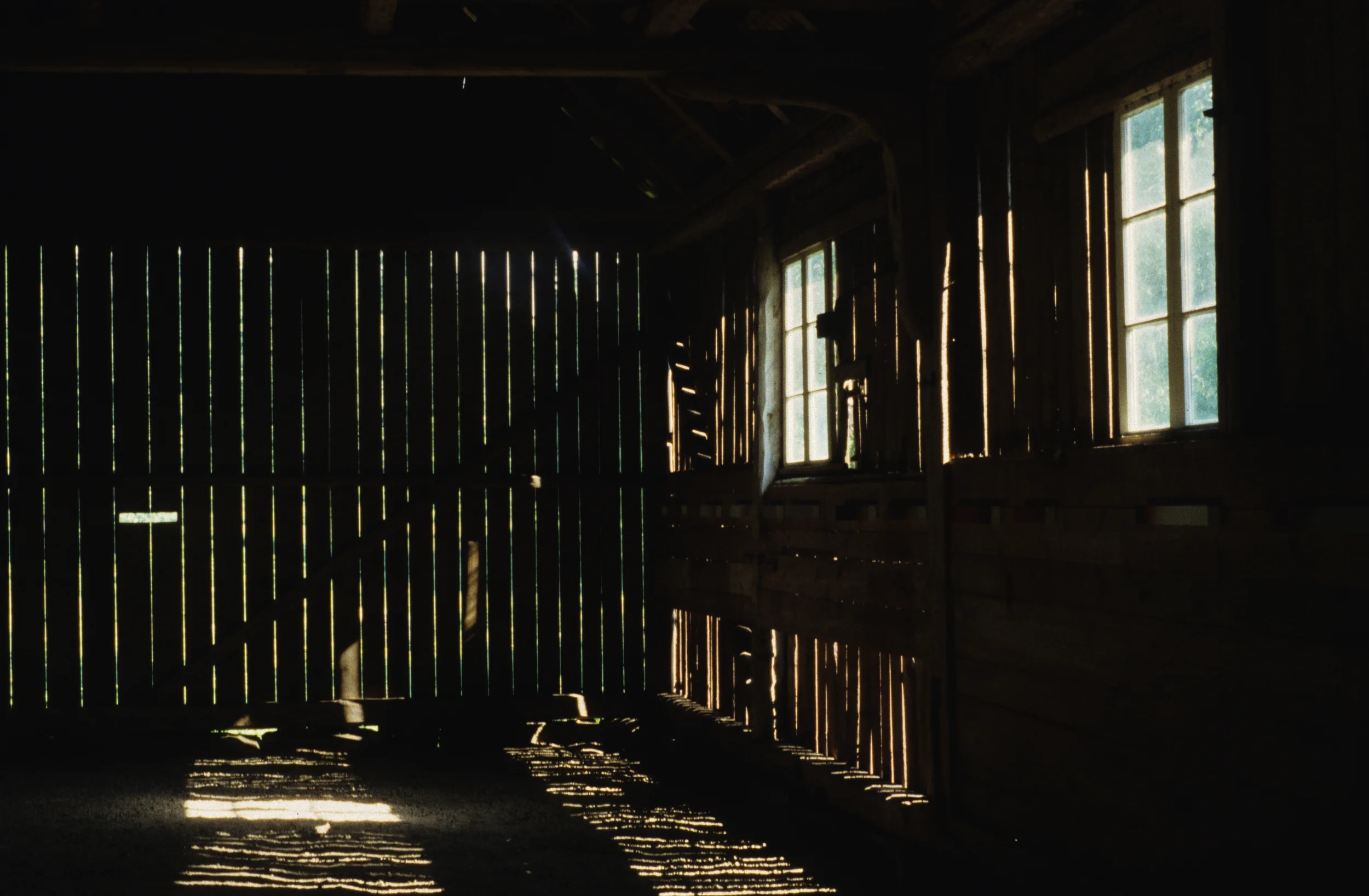 barn right wall copy.jpg