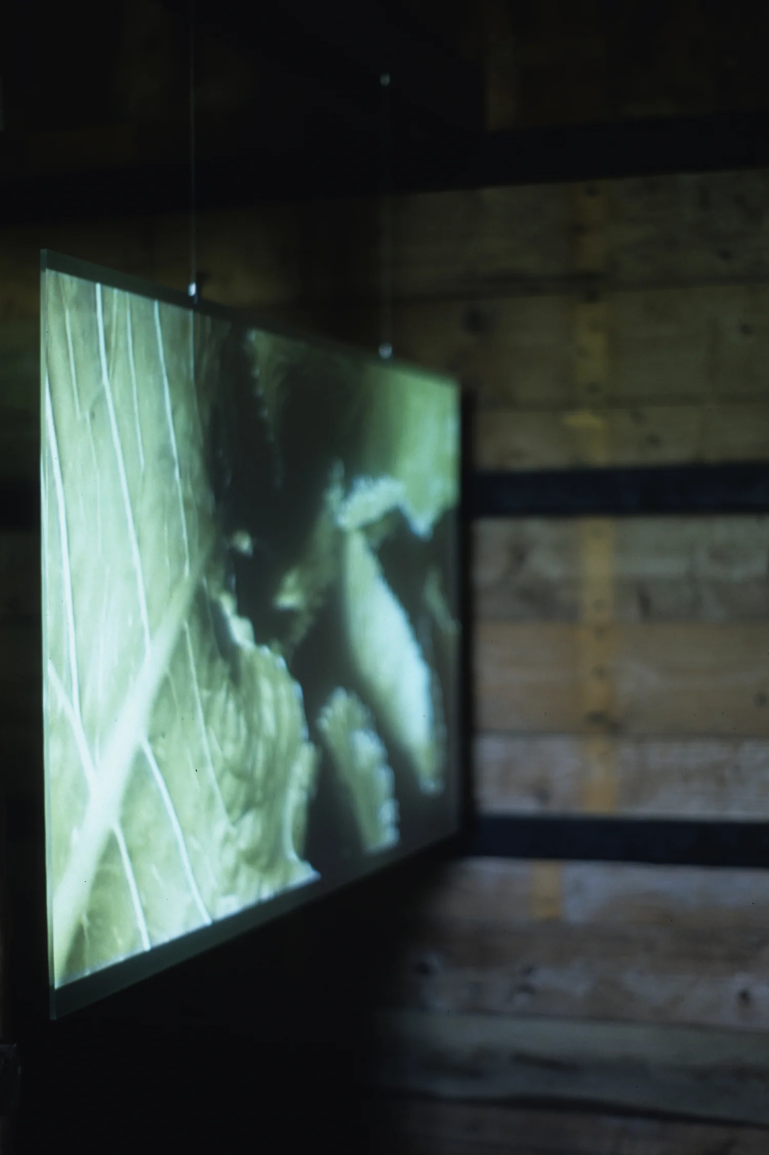 Memoirs screen close detail_scaled.jpg
