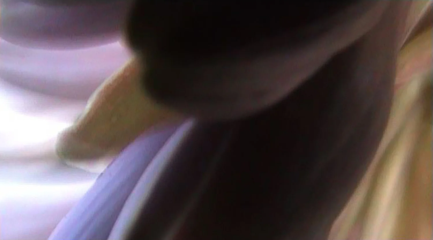 19.Memoirs of a Beekeeper.jpg