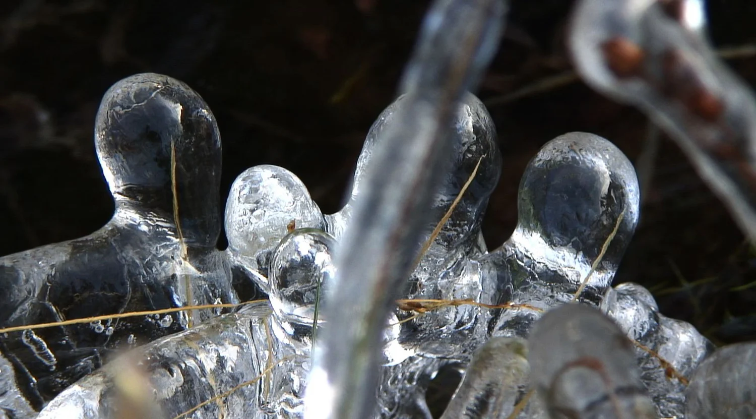 Little Ice Age 1-3.jpg