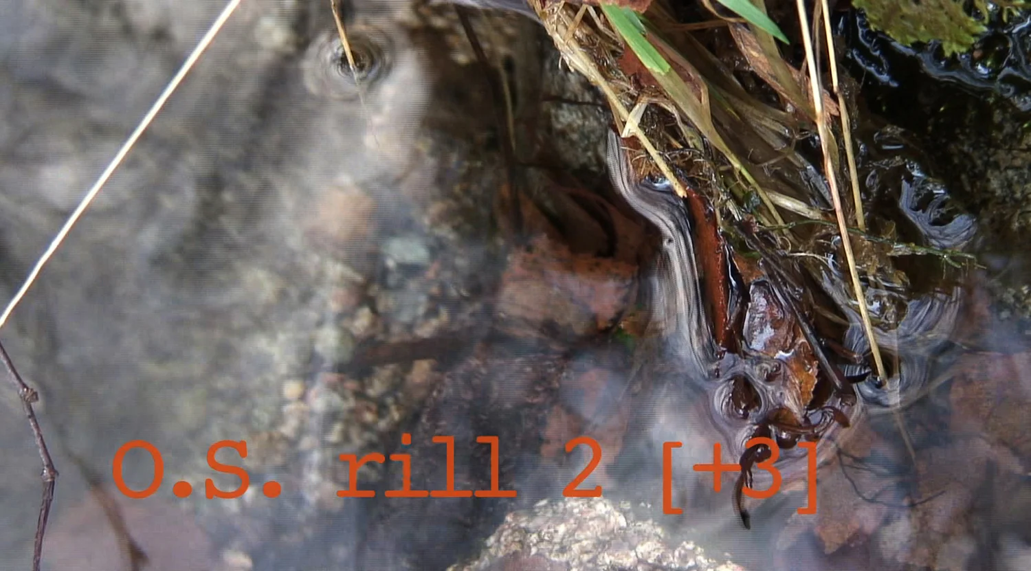 OS rill 2+3.jpg