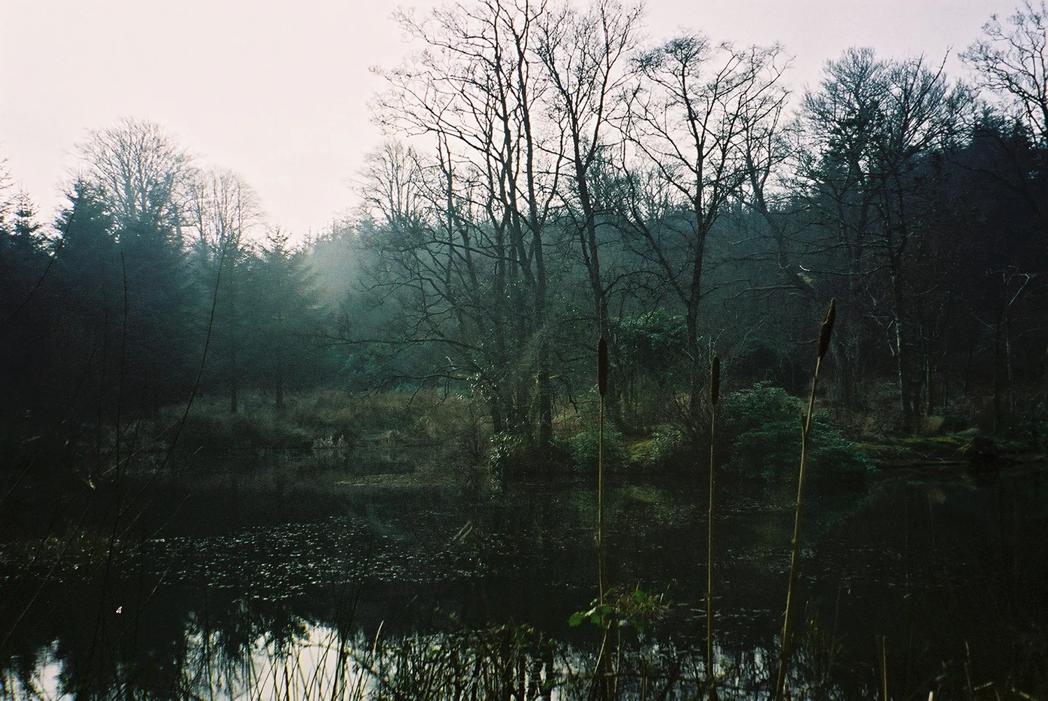 CNV00025.jpg