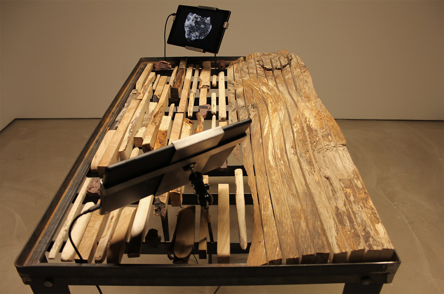 6_Xylotheque_installation view_VCBernie_2019.jpg
