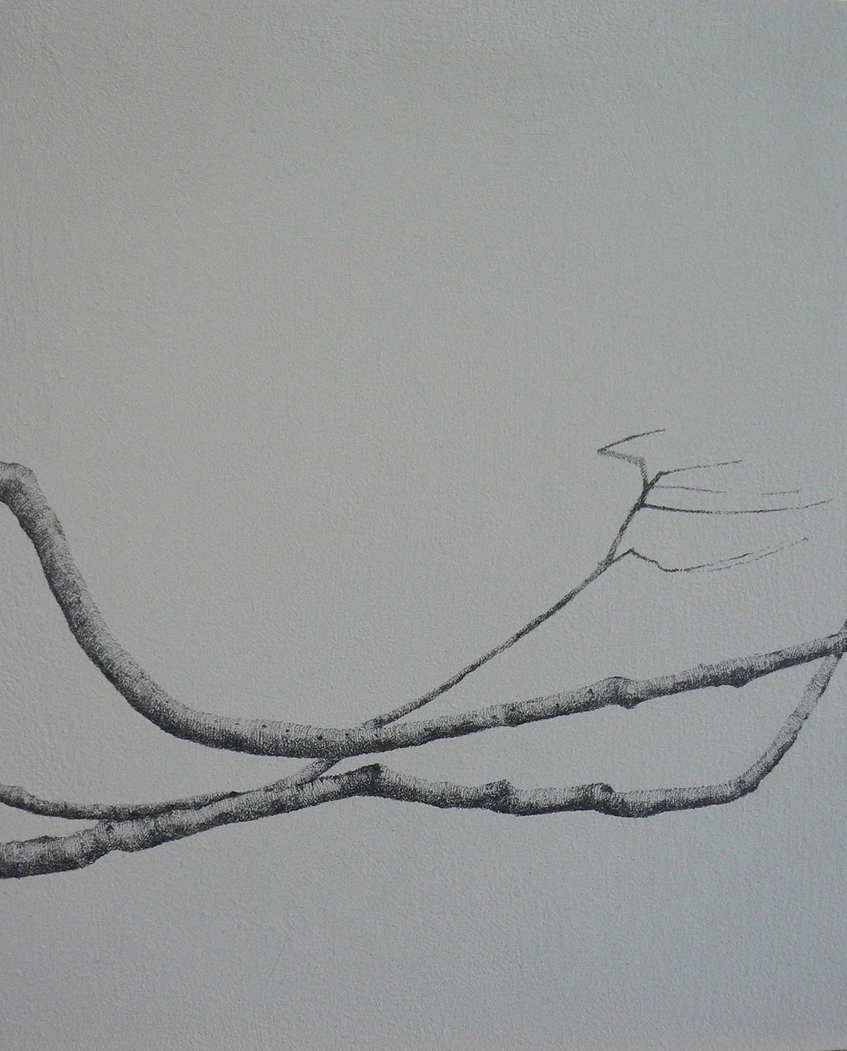 6-ARIADNE.jpg
