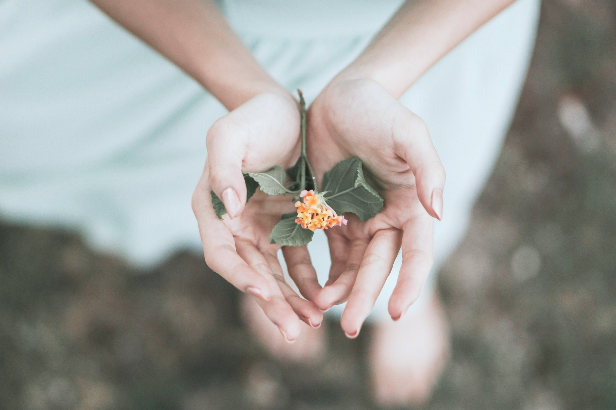 Offering+a+Blossom+with+Hands.jpg