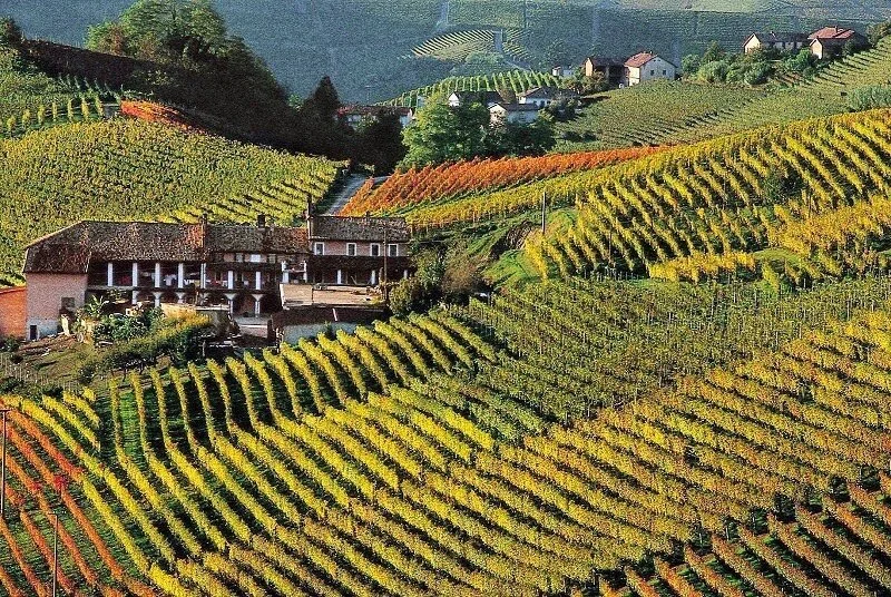 Winemakers Dinner med Moestue - tirsdag 24. oktober