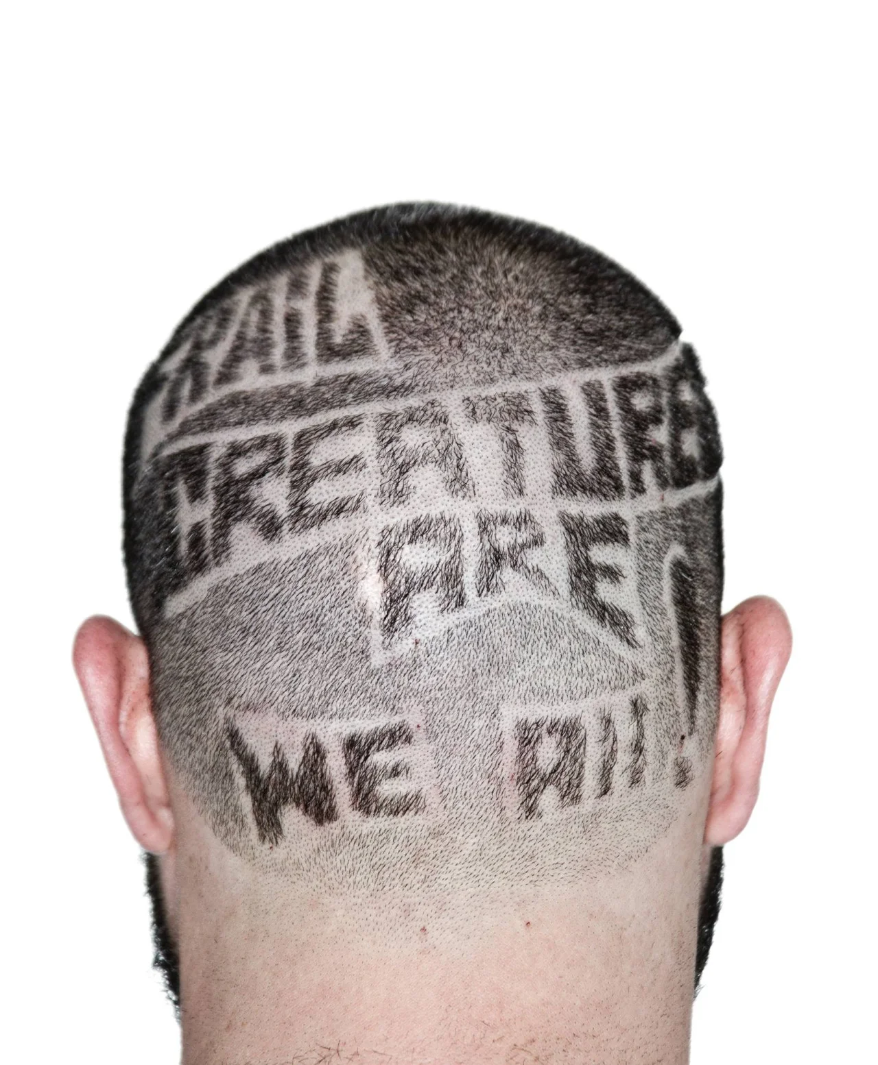 tumblr_nflwm1hkj11qd1mb3o1_1280.jpg