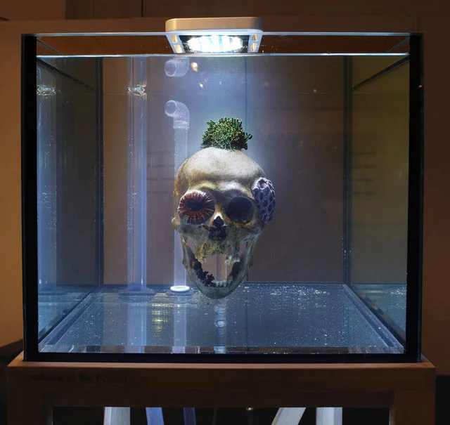 “The Nature of Disappearance” at Marianne Boesky Gallery (a group show which includes work by Art Practice participant Mathias Kessler ) is highlighted on Bloomberg.com .