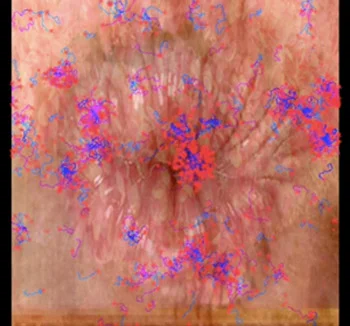 Viral Venture
Thursday, February 10th at 7PM in the SVA Theatre, 333 West 23rd Street
The BFA Fine Arts Department at SVA presents “Viral Venture,” a conversation with media artist Joseph Nechvatal and composer Rhys Chatham, moderated by Art Practice faculty member Kathy Brew. Discussions will precede and follow a screening of Viral Venture , a digital art projection by Nechvatal with a score by Chatham.
