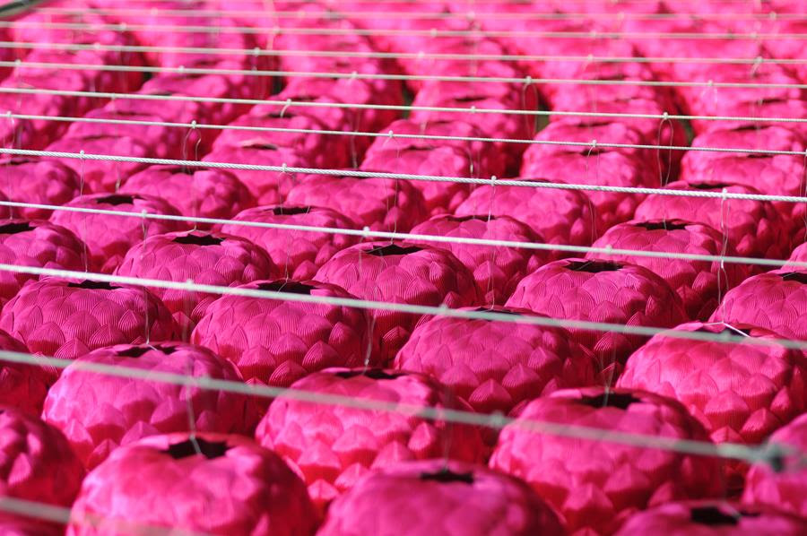 Kimsooja, Lotus: Zone of Zero , 2008