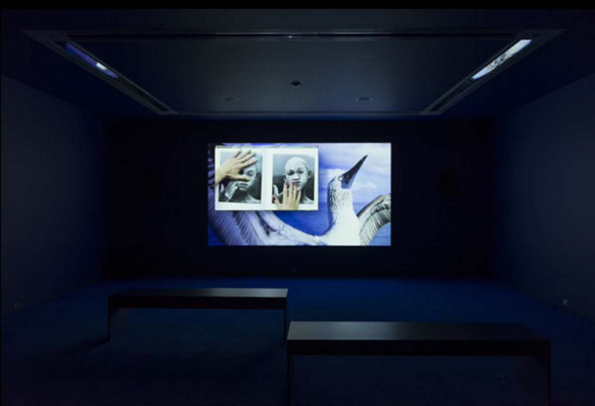 Installation view: MCA Screen: Camille Henrot, Museum of Contemporary Art Chicago, September 3 – December 18, 2016. Photo: Nathan Keay. © MCA Chicago.