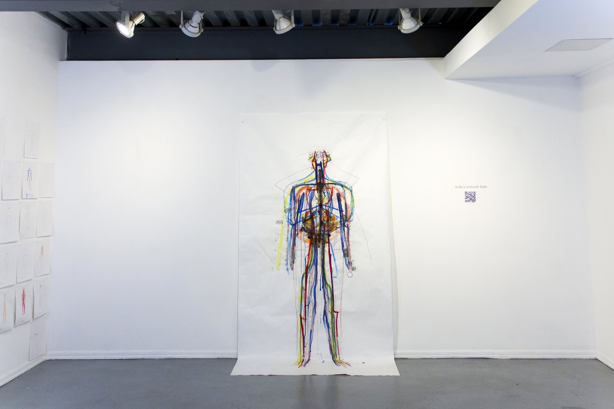  life scale multi-color linear drawing of human figure 