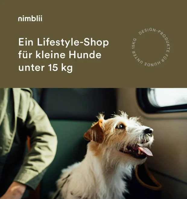 Experience Design - nimblii