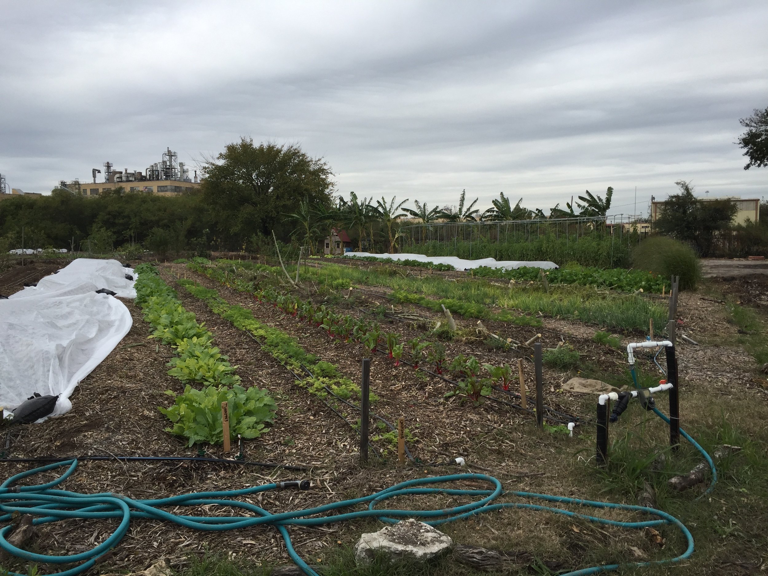 View of the Farm