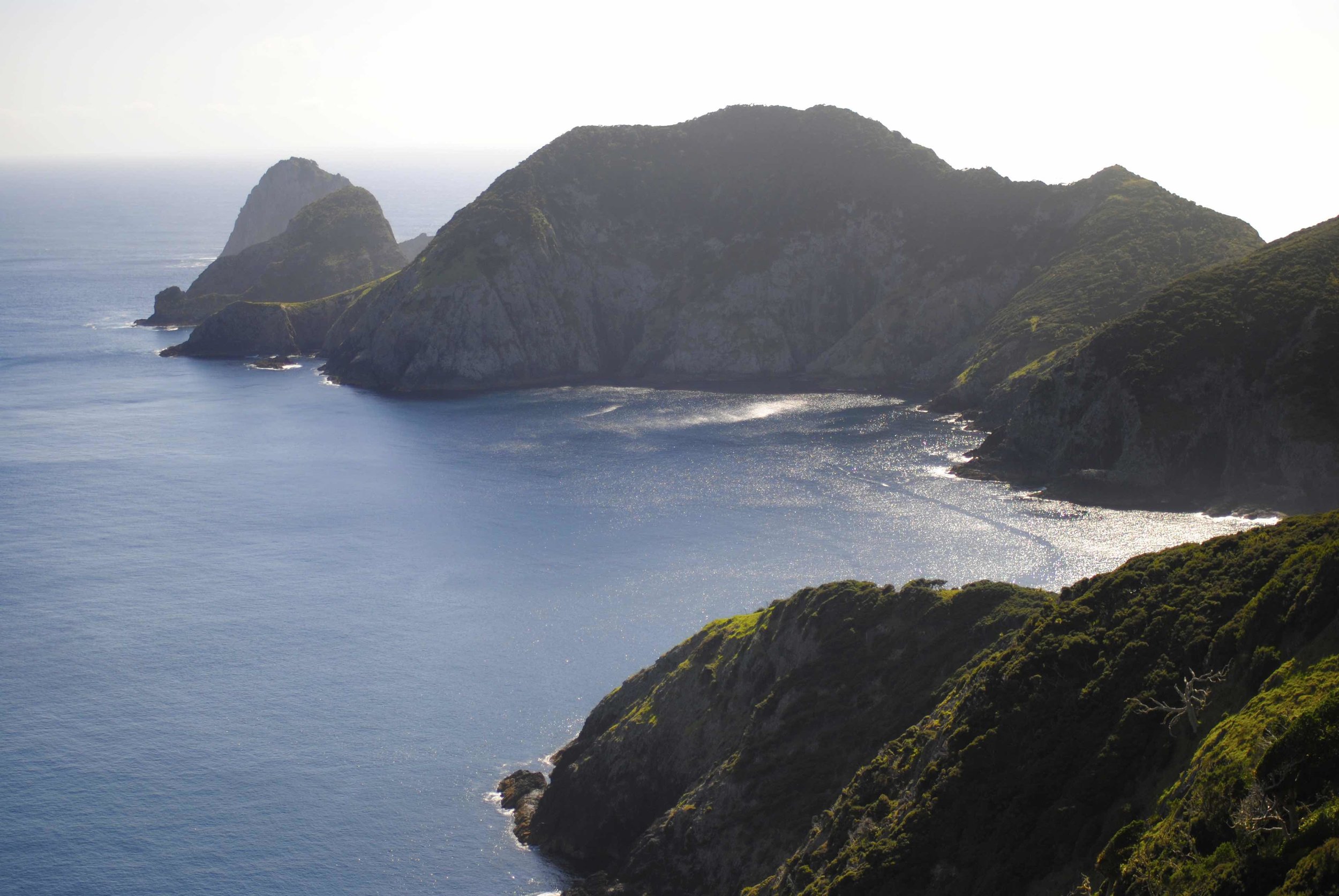 Hiking Cape Brett