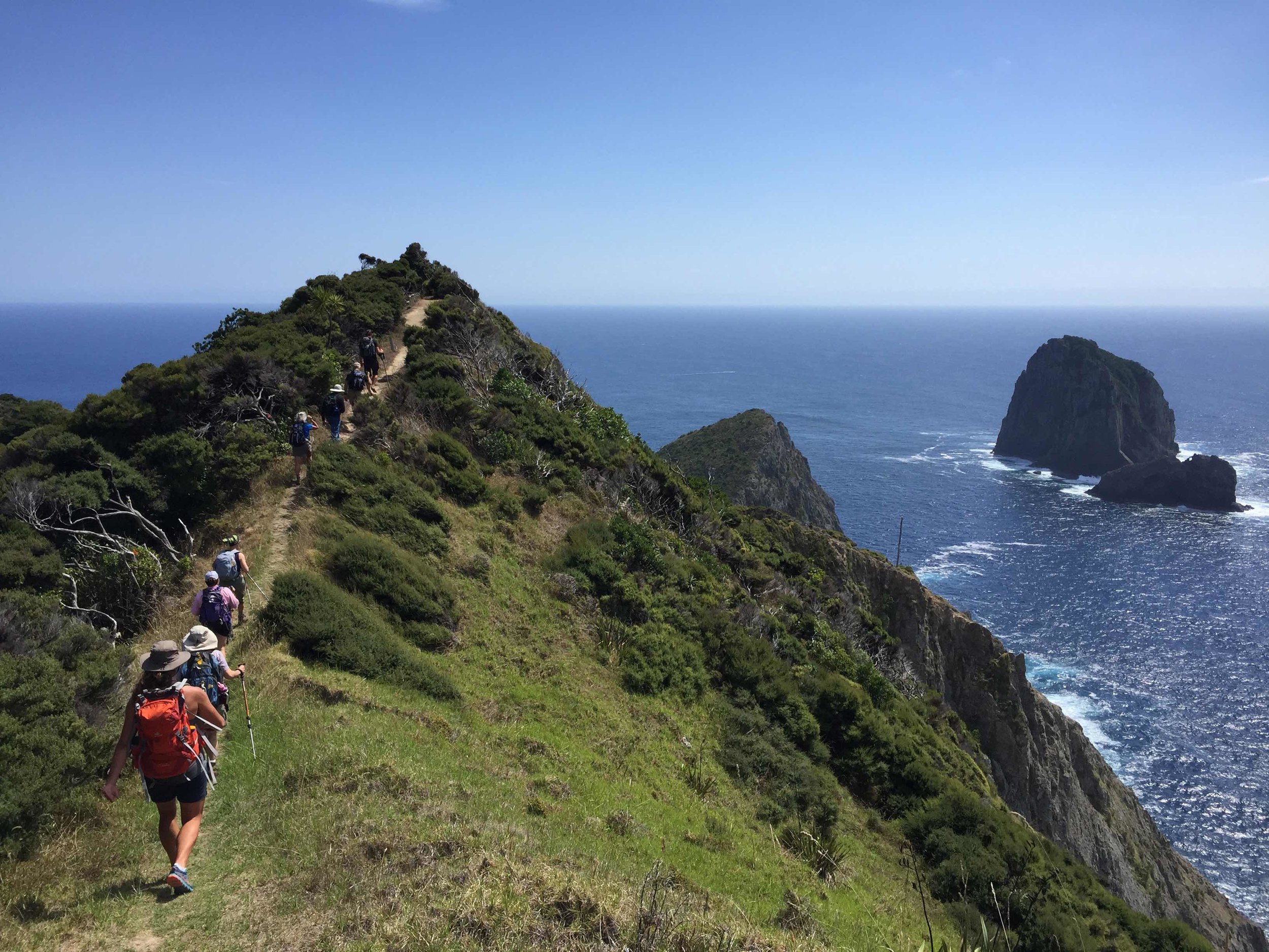 Hiking Cape Brett