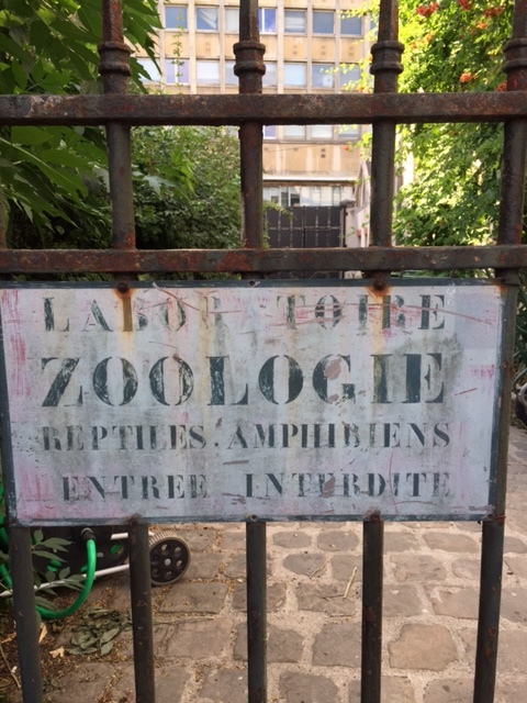 the Typography at the city zoo