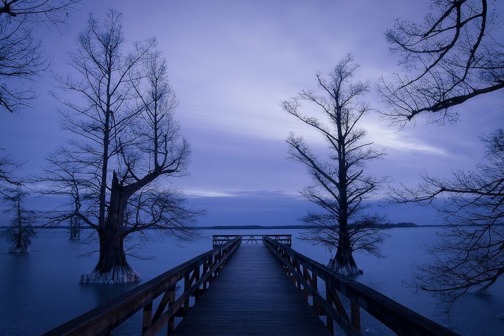  An eerie, enchanted, flooded forest that looks like something out of a dream. Visit at sunrise or sunset for the full storybook feel. (Photograph Via: Jim Denham Flickr/ jimmydspics )