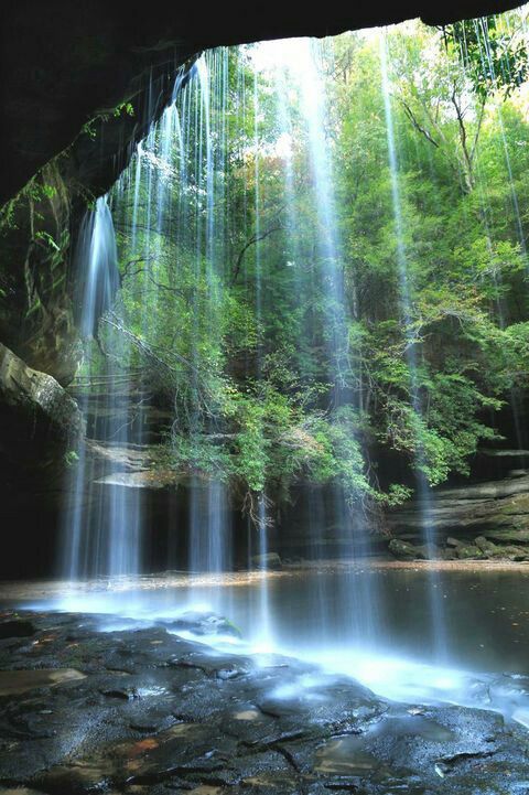 Take a 1.5 mile hike through lush green vegetation of the Bankhead National Forest and you will find a mystical waterfall and swimming hole hidden in a slot canyon. The waterfall flows year round and it's stunning beauty never disappoints.