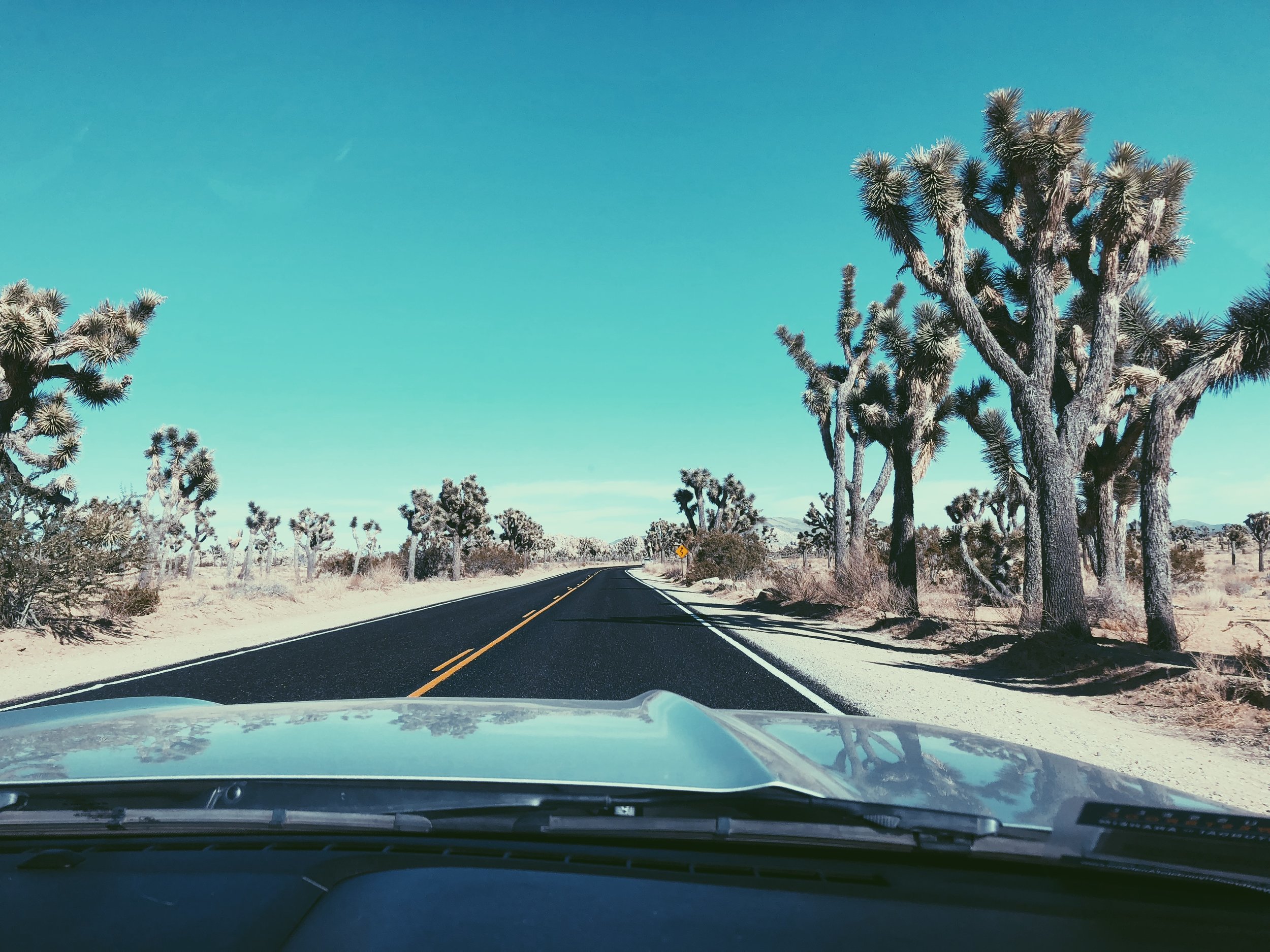 Joshua Tree National Park