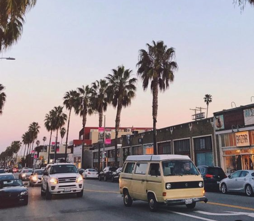 Abbot Kinney Blvd