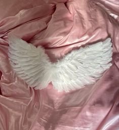 grab a darling pair of angel wings