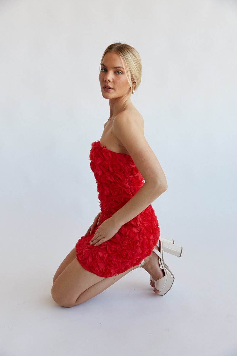 Angelia Rose Applique Mini Dress