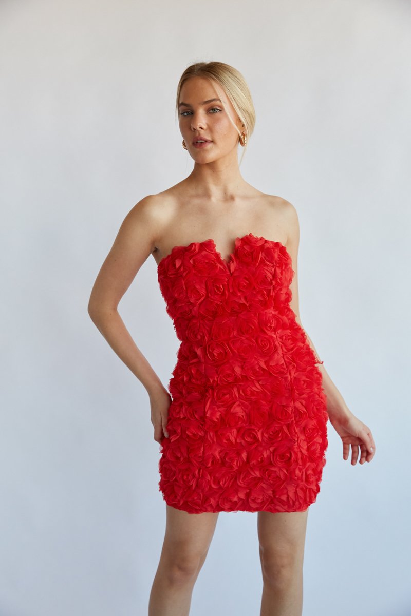 Angelia Rose Applique Mini Dress