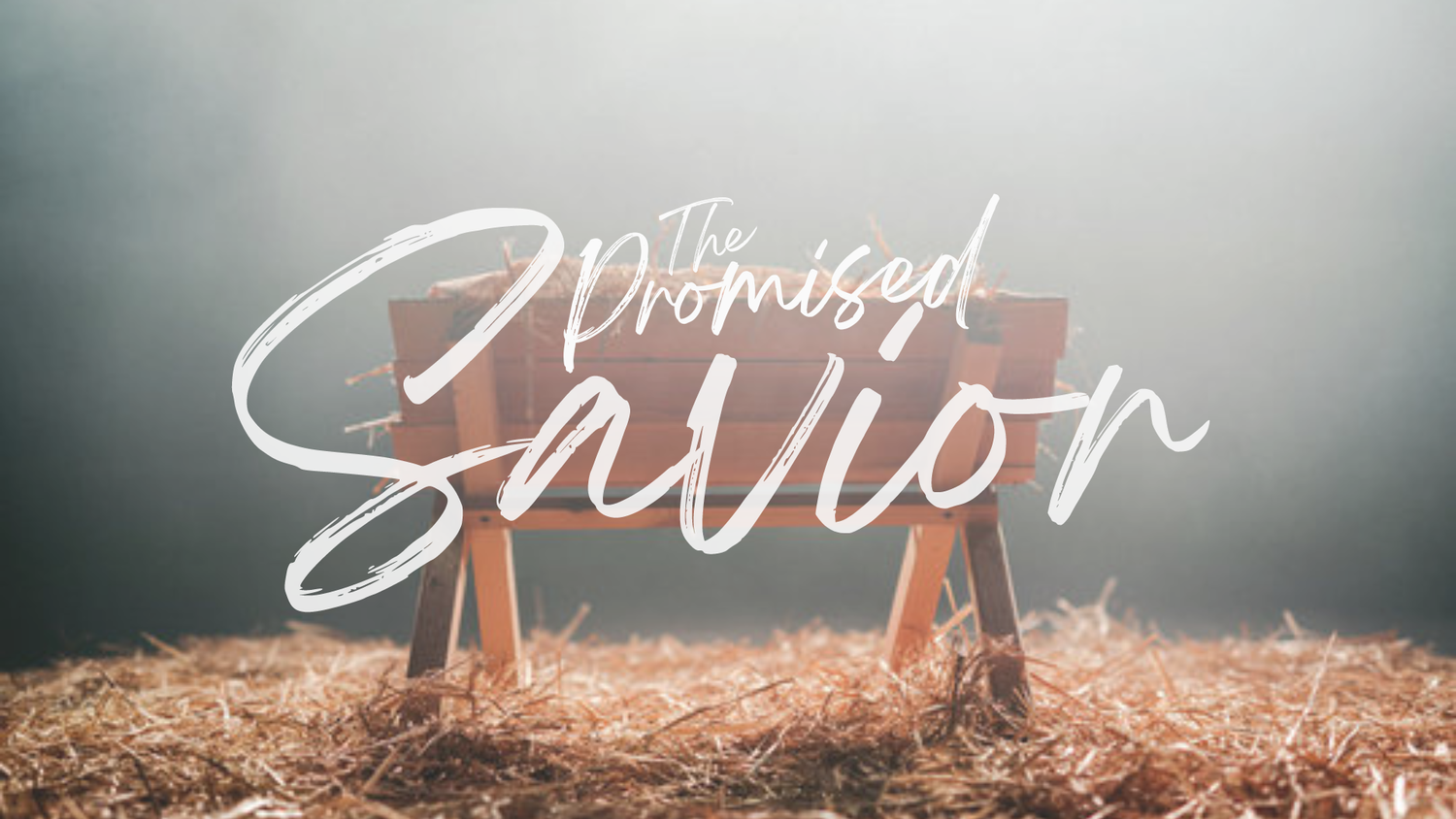 Restoration Church - Chicago, IL