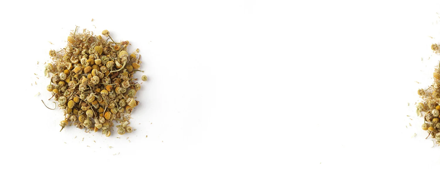 leafandtwig_Chamomile_ld.jpg