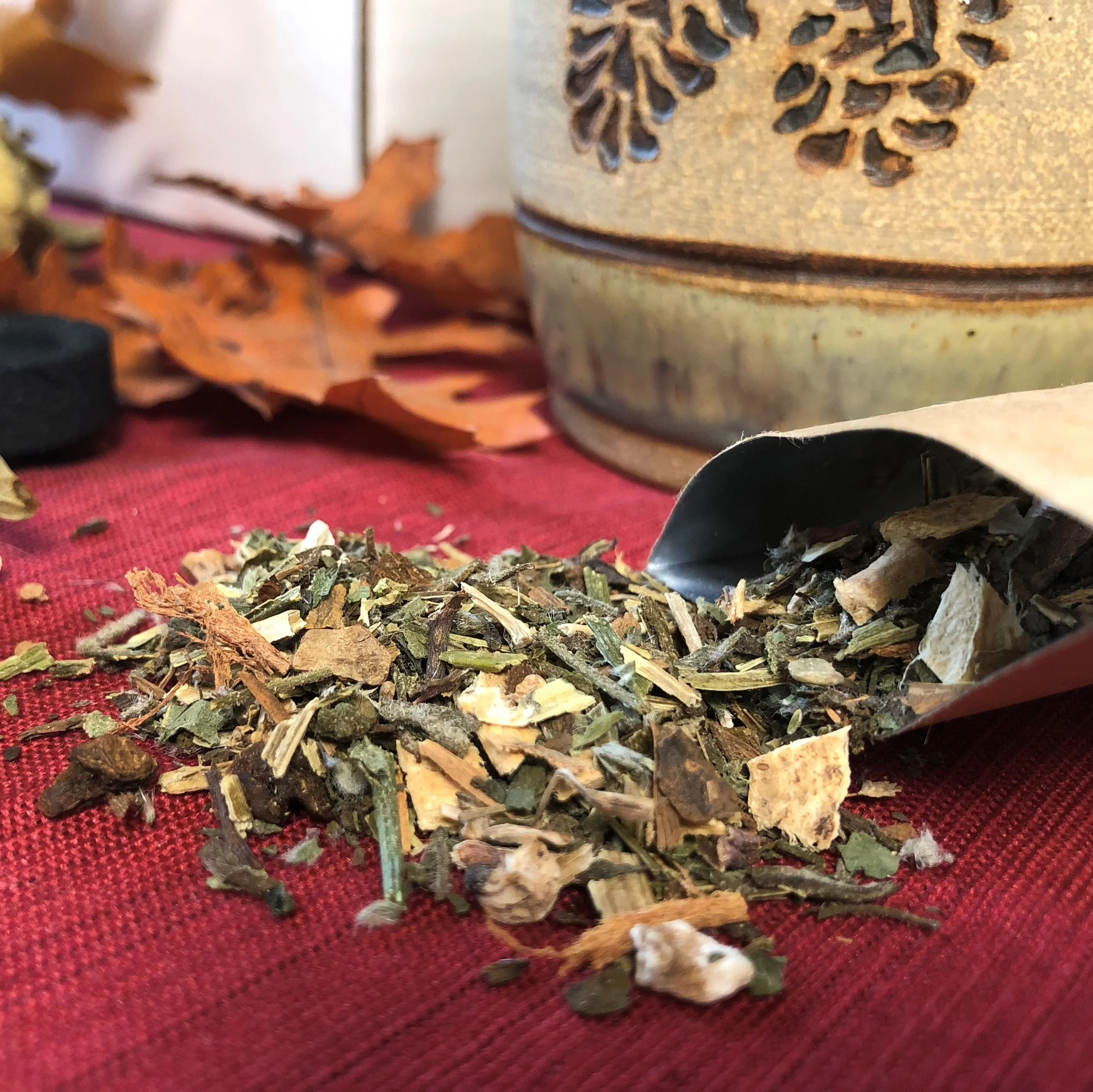 How To Prepare Yourself for the Fall Equinox