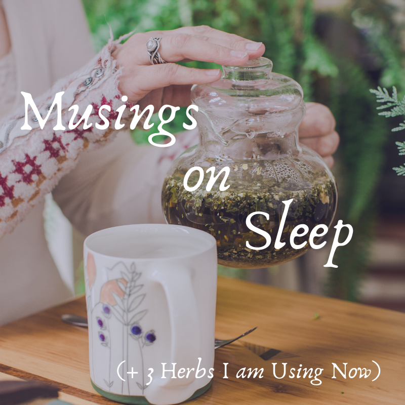 Musings on Sleep (+ the Three Herbs I am Using Right Now)