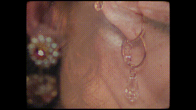 bloggif_5d08aba49107d.gif