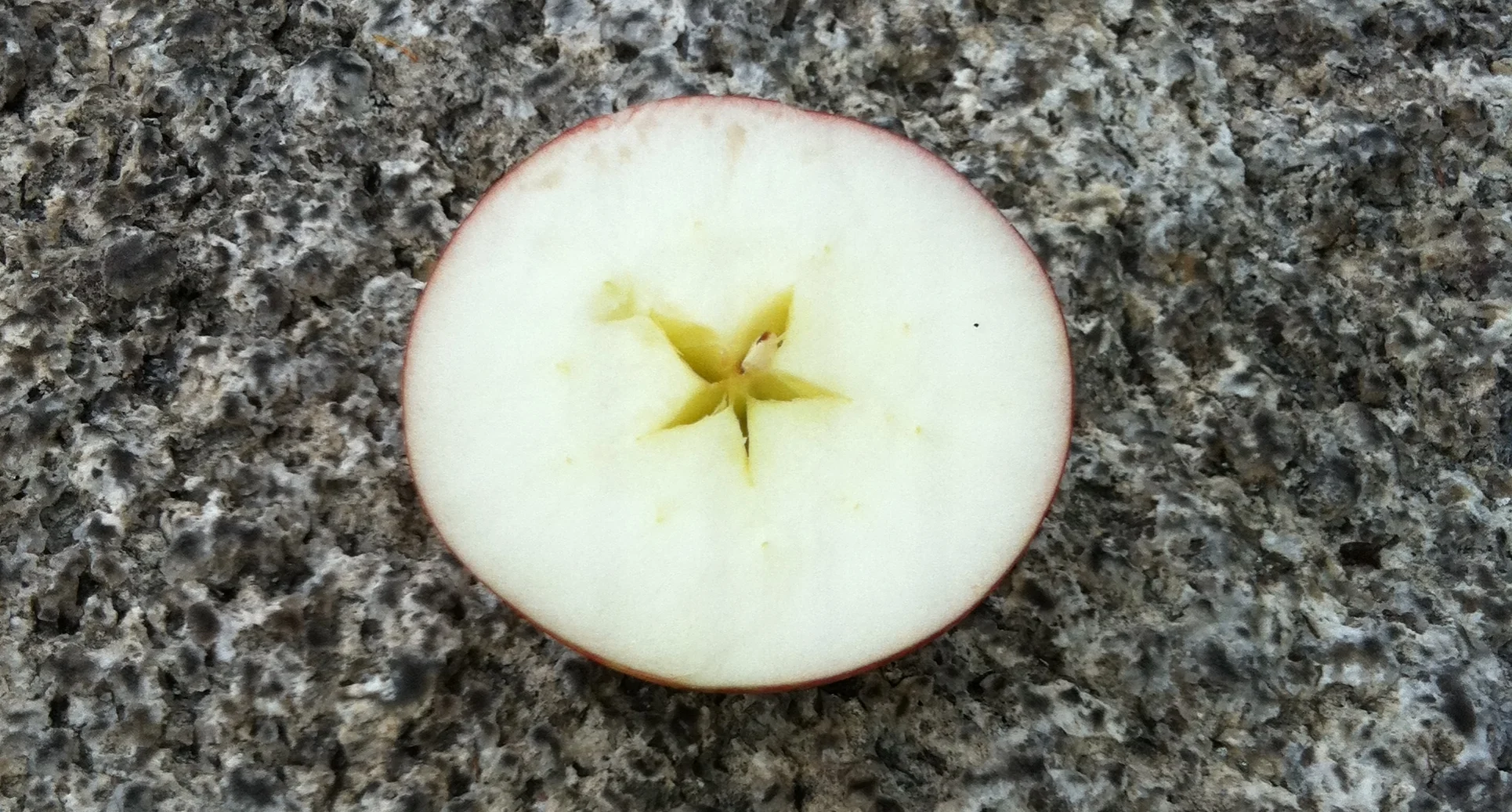 Finding the Star at the Center of the Apple - In Support of Science and Facts