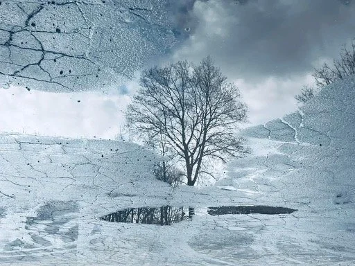 Accepting Winter's Invitation - Activating the Stillness