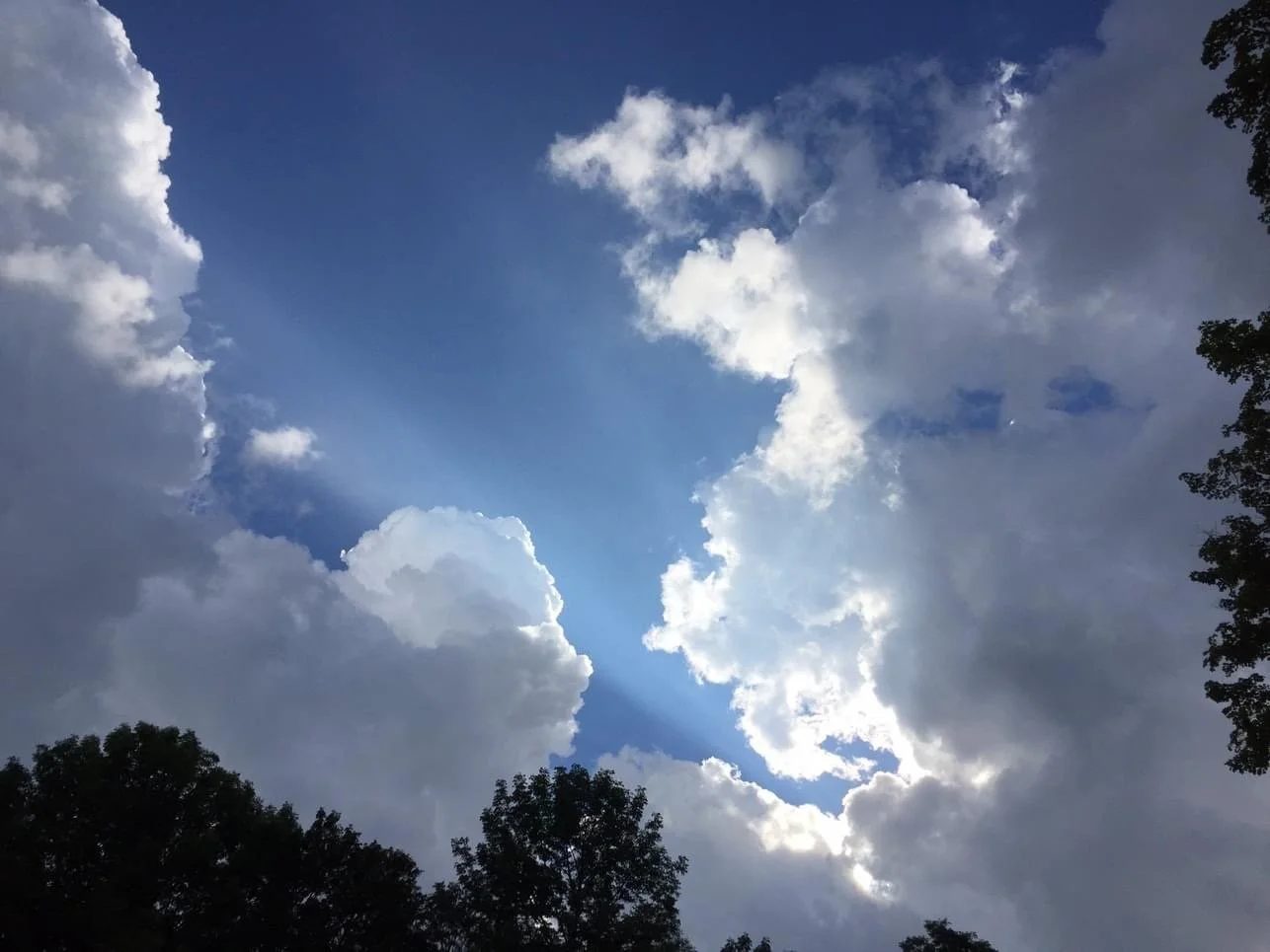 Visiting the Elements — Air